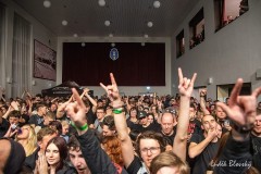 2025 - Doga, Morčata na útěku